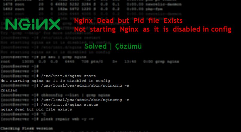 Nginx Dead but Pid file Exists Hatasının Çözümü